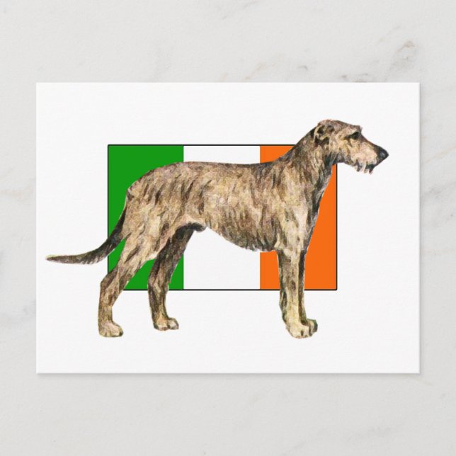 Carte Postale Drapeau de l'Irlande Irish wolfhound Gear (Devant)