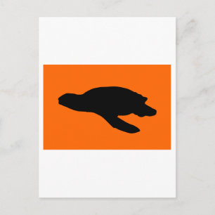Carte Postale Drapeau de nidification de la tortue de mer