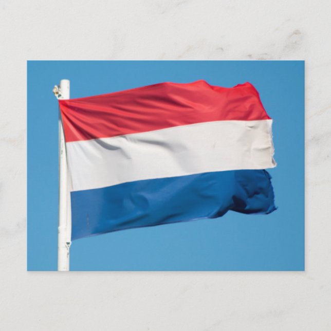 Carte Postale Drapeau de Pays-Bas (Devant)