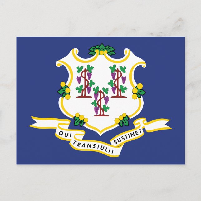 Carte Postale Drapeau du Connecticut Souvenir État de la noix de (Devant)