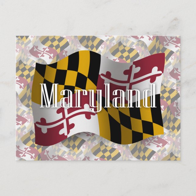 Carte Postale Drapeau du Maryland (Devant)