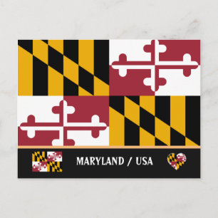 Carte Postale Drapeau du Maryland et Maryland USA /Amérique