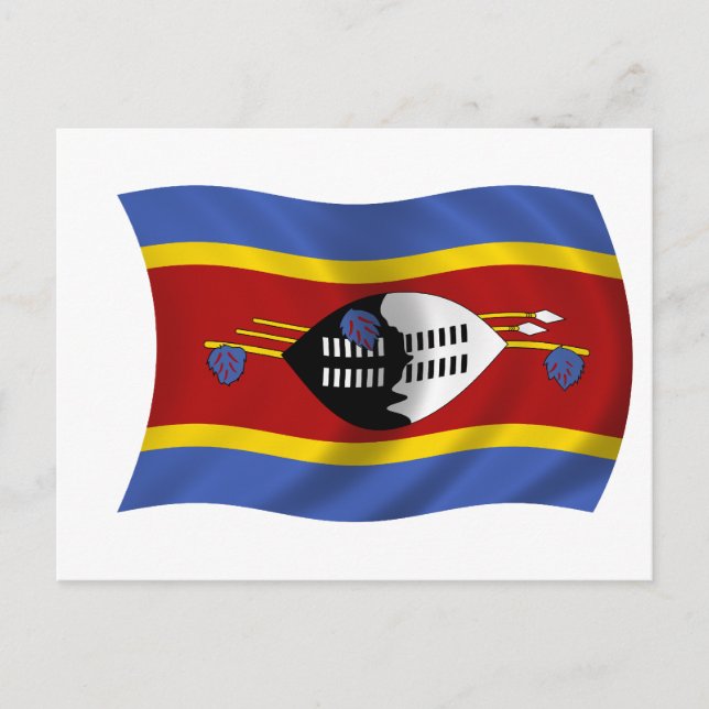 Carte Postale Drapeau du Swaziland (Devant)