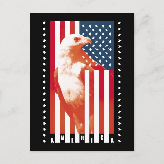 Carte Postale Drapeau et aigle des États-Unis d'Amérique (Devant)