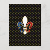 Drapeau français Fleur de Lis avec or