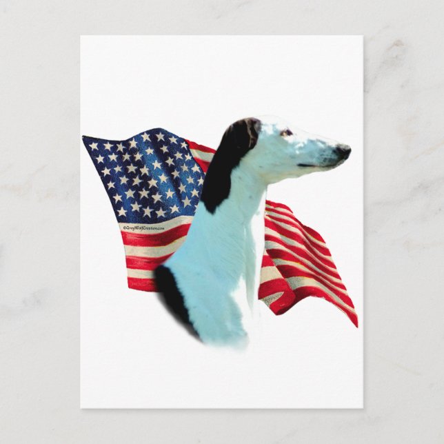 Carte Postale Drapeau Greyhound (Devant)