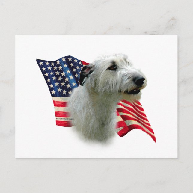 Carte Postale Drapeau irlandais Wolfhound (Devant)