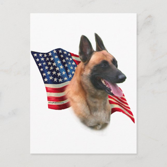 Carte Postale Drapeau malinois belge (Devant)