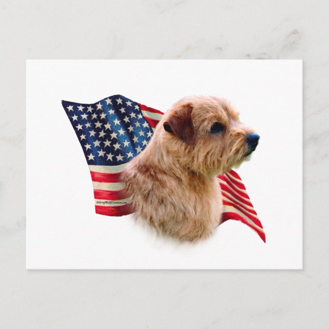 Carte Postale Drapeau Norfolk Terrier (Devant)