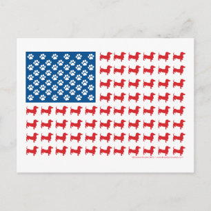 Carte Postale Drapeau patriotique Dachshund USA