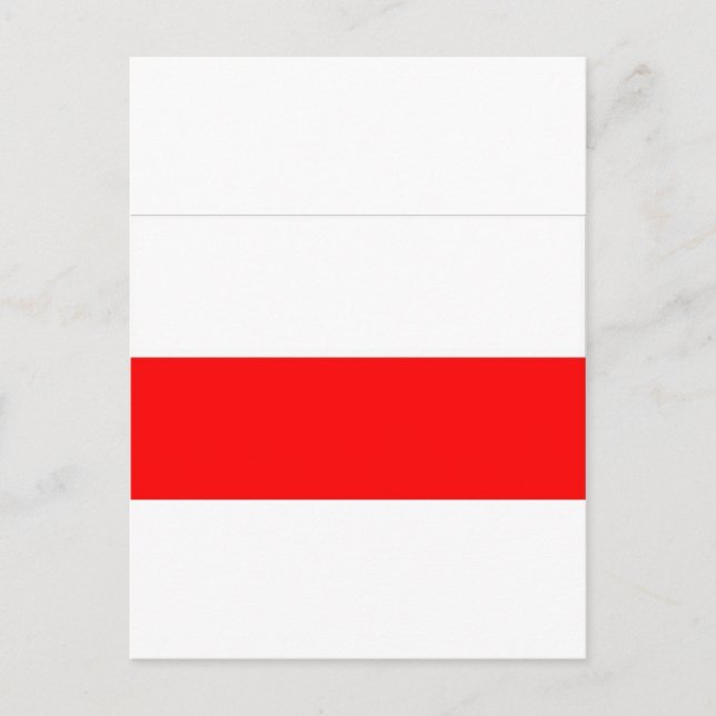 CARTE POSTALE DRAPEAU POLONAIS (Devant)