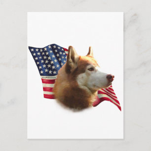 Carte Postale Drapeau rouge sibérien Husky
