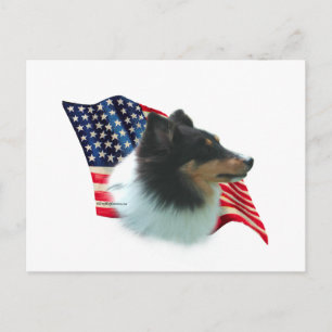 Carte Postale Drapeau Shetland Sheepdog (tri)