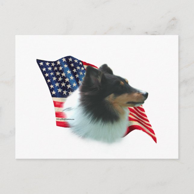 Carte Postale Drapeau Shetland Sheepdog (tri) (Devant)