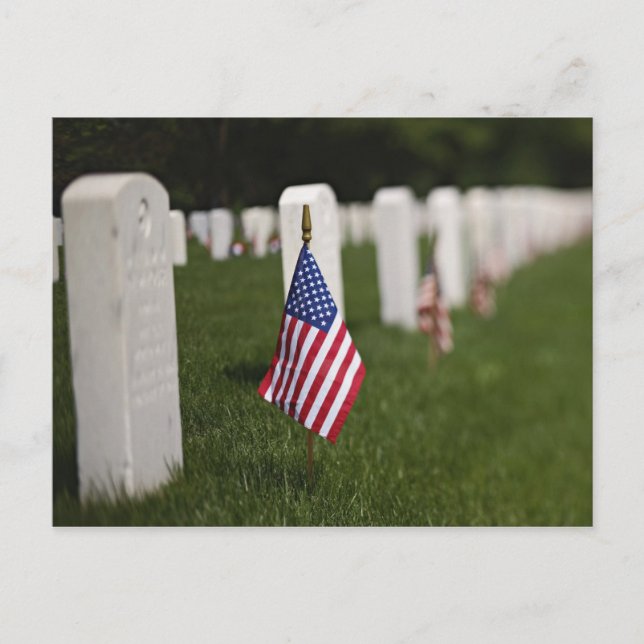 Carte Postale Drapeaux américains sur les tombes de vétérans amé (Devant)