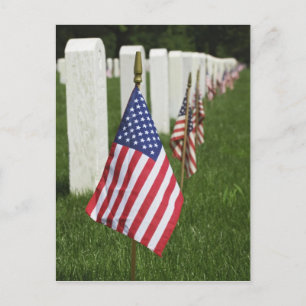 Carte Postale Drapeaux américains sur les tombes de vétérans amé