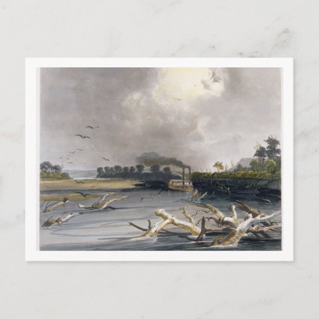 Carte Postale Drapeaux (arbres coulés) sur le Missouri, plaque 6 (Devant)