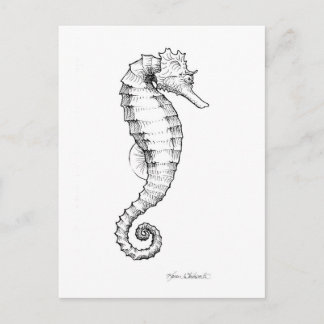 Carte Postale Drawing noir et blanc de Seahorse