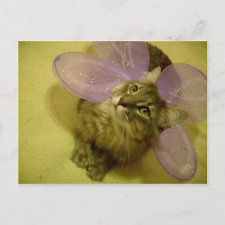 Carte postale Dream