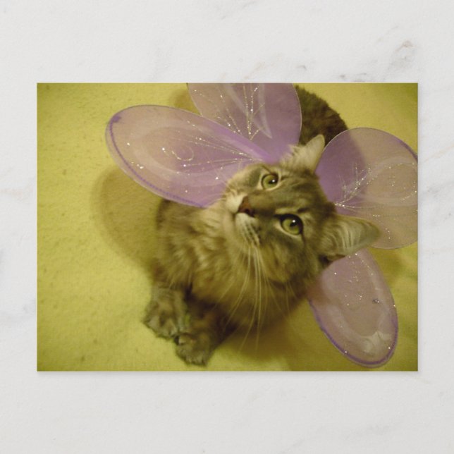 Carte postale Dream (Devant)