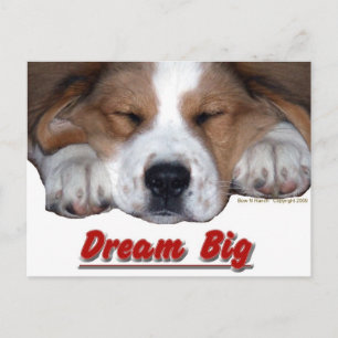 Carte Postale Dream Big Dog