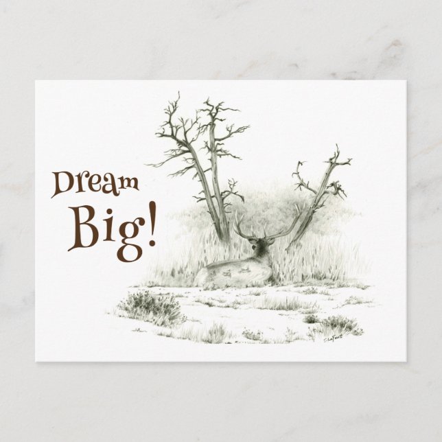 Carte Postale Dream Big Elk (Devant)
