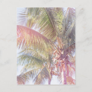 Carte Postale Dream Palm