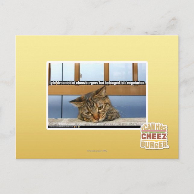 Carte Postale Dreaming of Cheesburgers (Devant)
