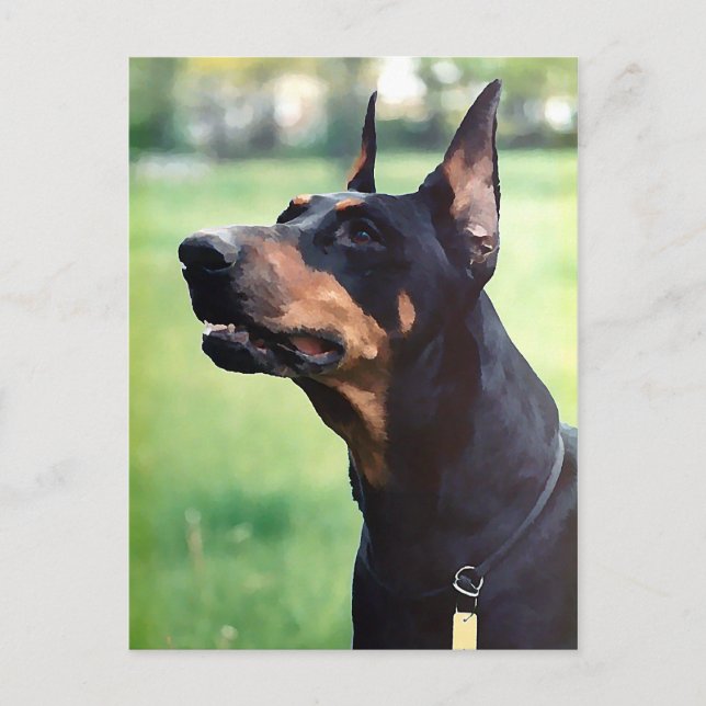 Carte Postale Dreamy Doberman Pinscher Peinture Visage (Devant)