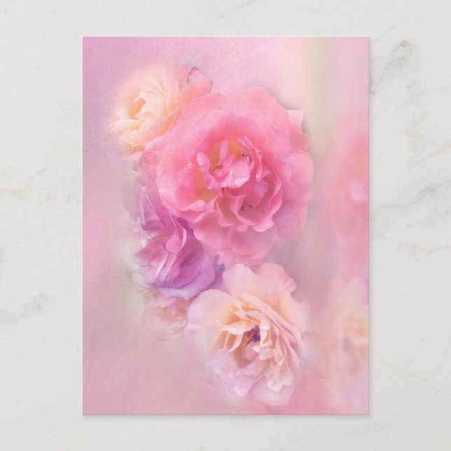 Carte Postale Dreamy Pastel Roses (Devant)