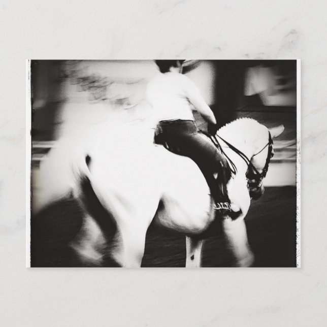 Carte Postale Dressage (Devant)