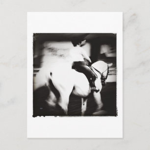 Carte Postale Dressage