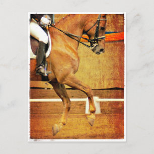 Carte Postale Dressage