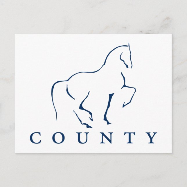 CARTE POSTALE DRESSAGE DE SADDLERY DU COMTÉ (Devant)