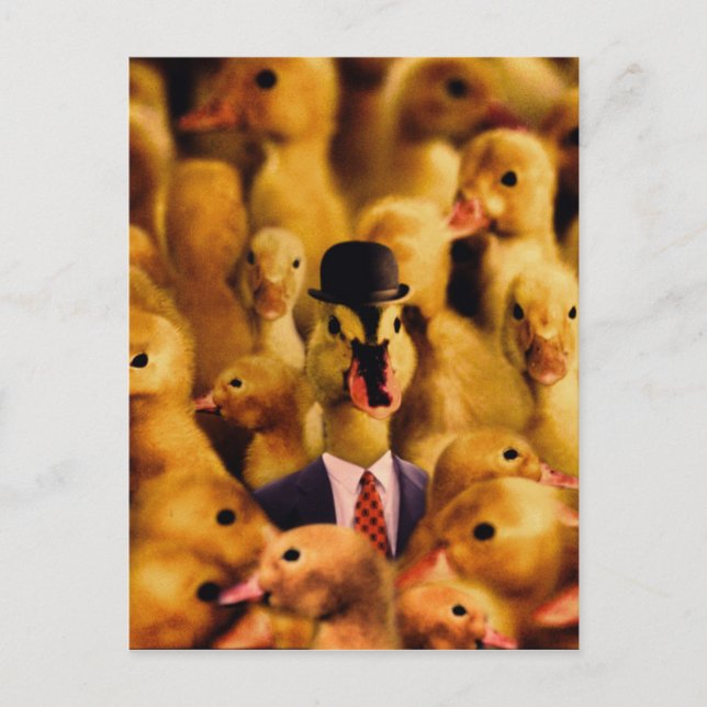 Carte Postale Dressed For Success Duck (Devant)