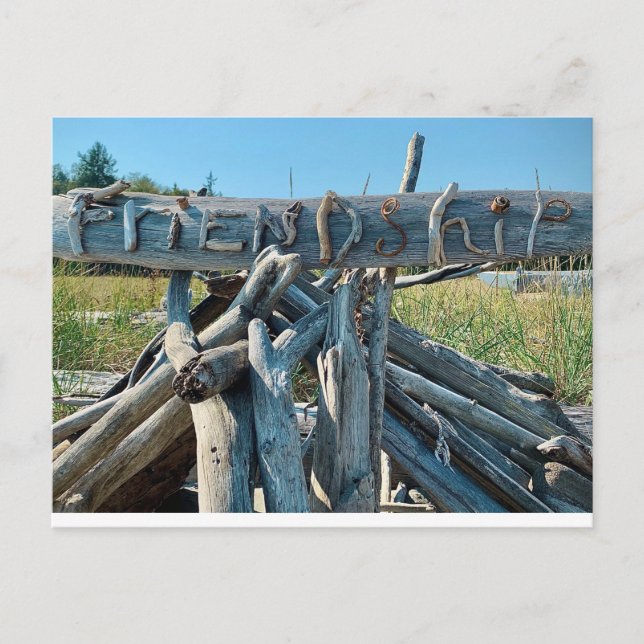 Carte Postale Driftwood Friendship Beach Scene (Devant)