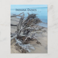 Driftwood Indiana Dunes National Park Magnet