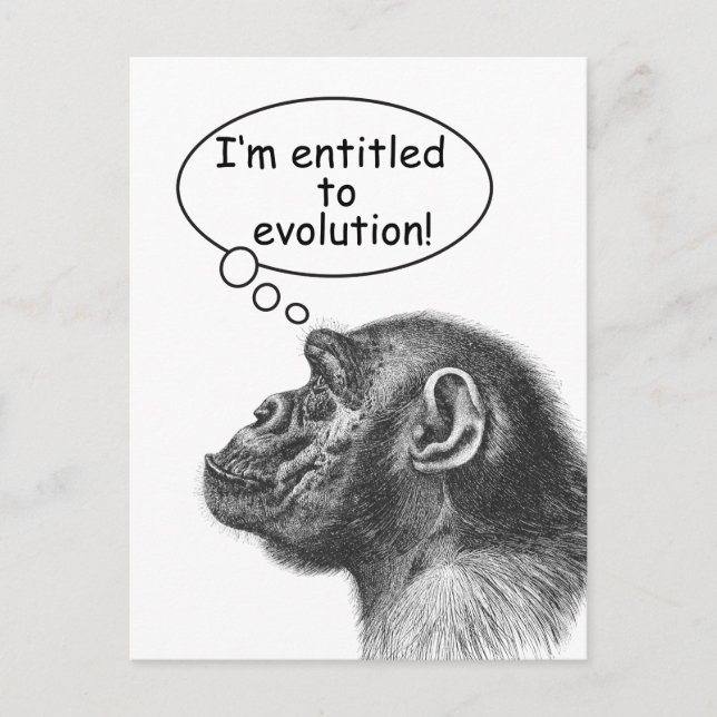 Carte Postale Droit d'évolution de grande singe (Devant)