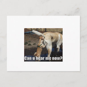 Carte Postale drôle