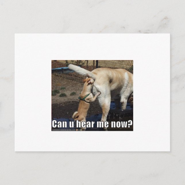 Carte Postale drôle (Devant)