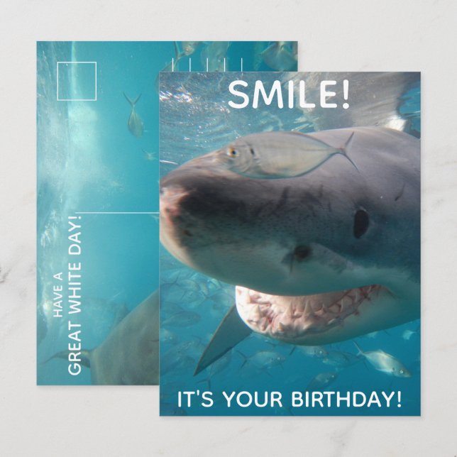 Carte Postale Drôle Anniversaire Grand Requin Blanc (Devant / Derrière)