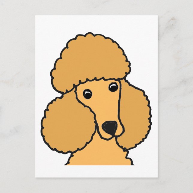 Carte Postale Drôle Apricot Poodle Chien Caricature (Devant)