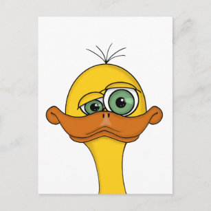 Cartes Humour Canard D Anniversaire Zazzle Fr