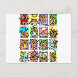 Carte Postale Drôle Caricatures de la journée de la marmotte