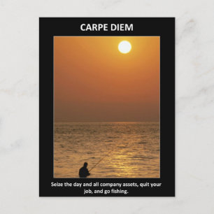 Carte Postale Drôle Carpe Diem Saisir Le Jour