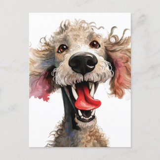 Carte Postale Drôle Cartoon de caniche