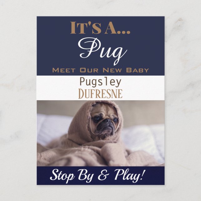 Carte Postale Drôle "C'est un" nouveau Faire-part pour animaux d (Devant)