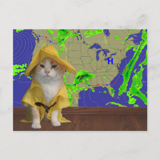 Carte Postale Drôle Chat/Kitty Weatherman en Slickr Jaune