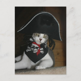 Carte Postale Drôle chat pirate