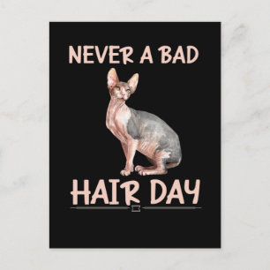 Carte Postale Drôle Chat sans cheveux Sphynx Humour cheveux